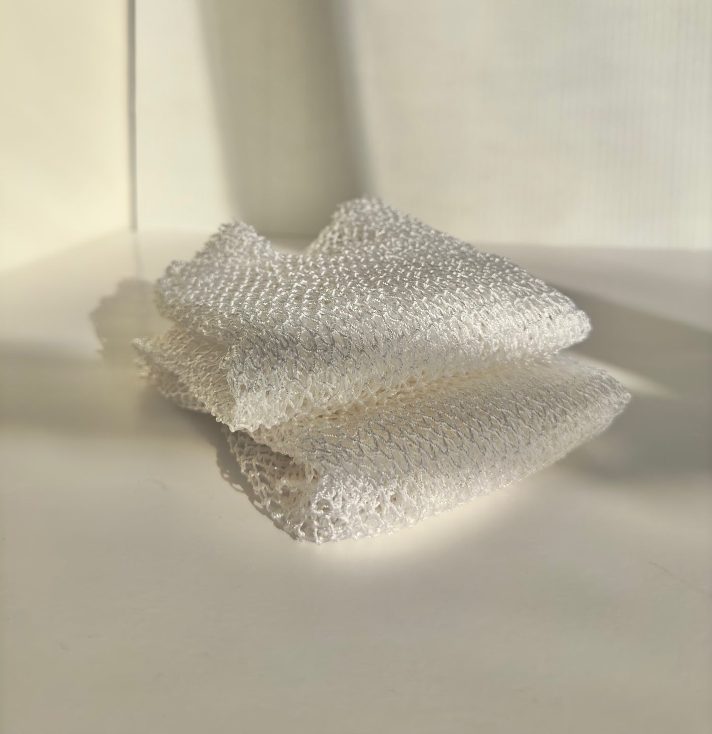 Exfoliating African Net Sponge