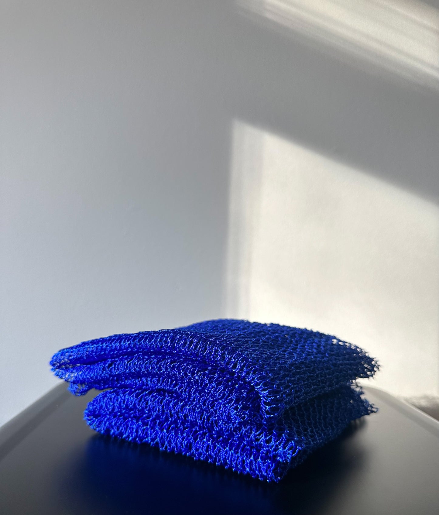 Exfoliating African Net Sponge