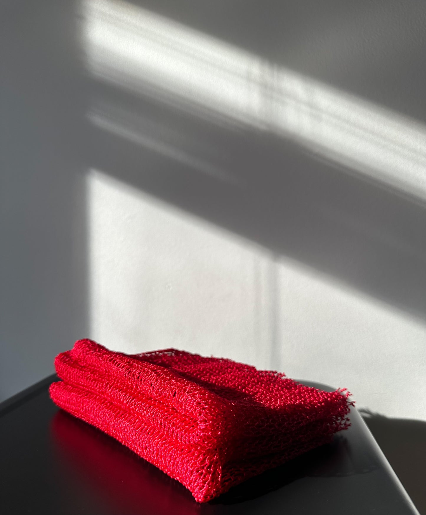 Exfoliating African Net Sponge
