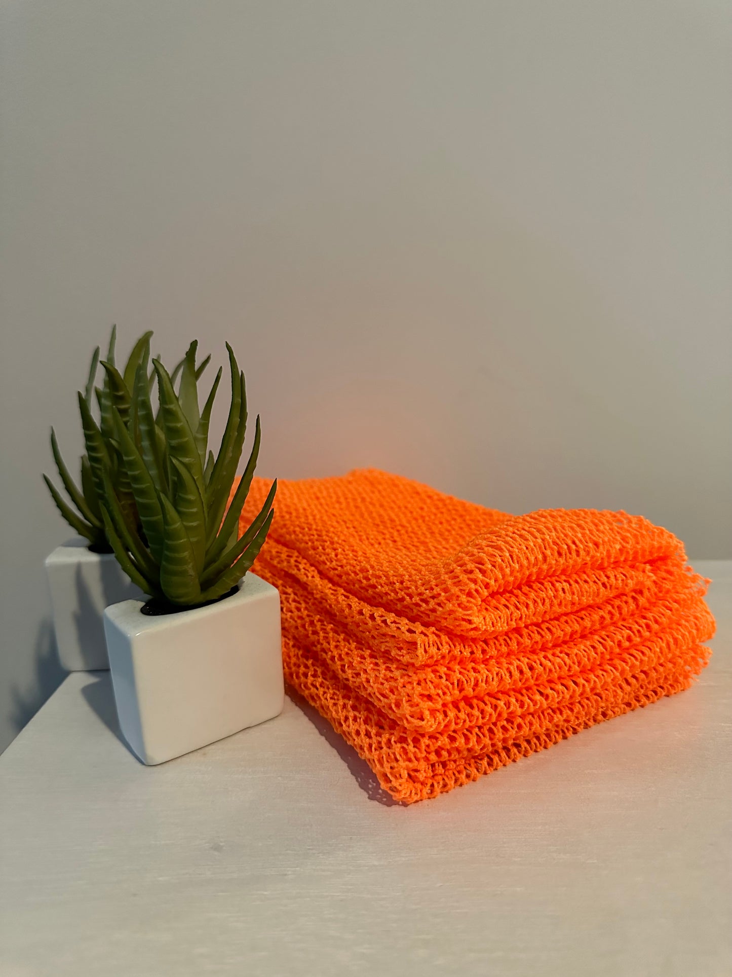 Exfoliating African Net Sponge