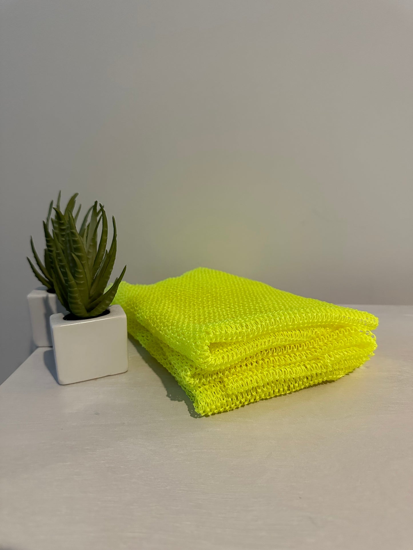 Exfoliating African Net Sponge