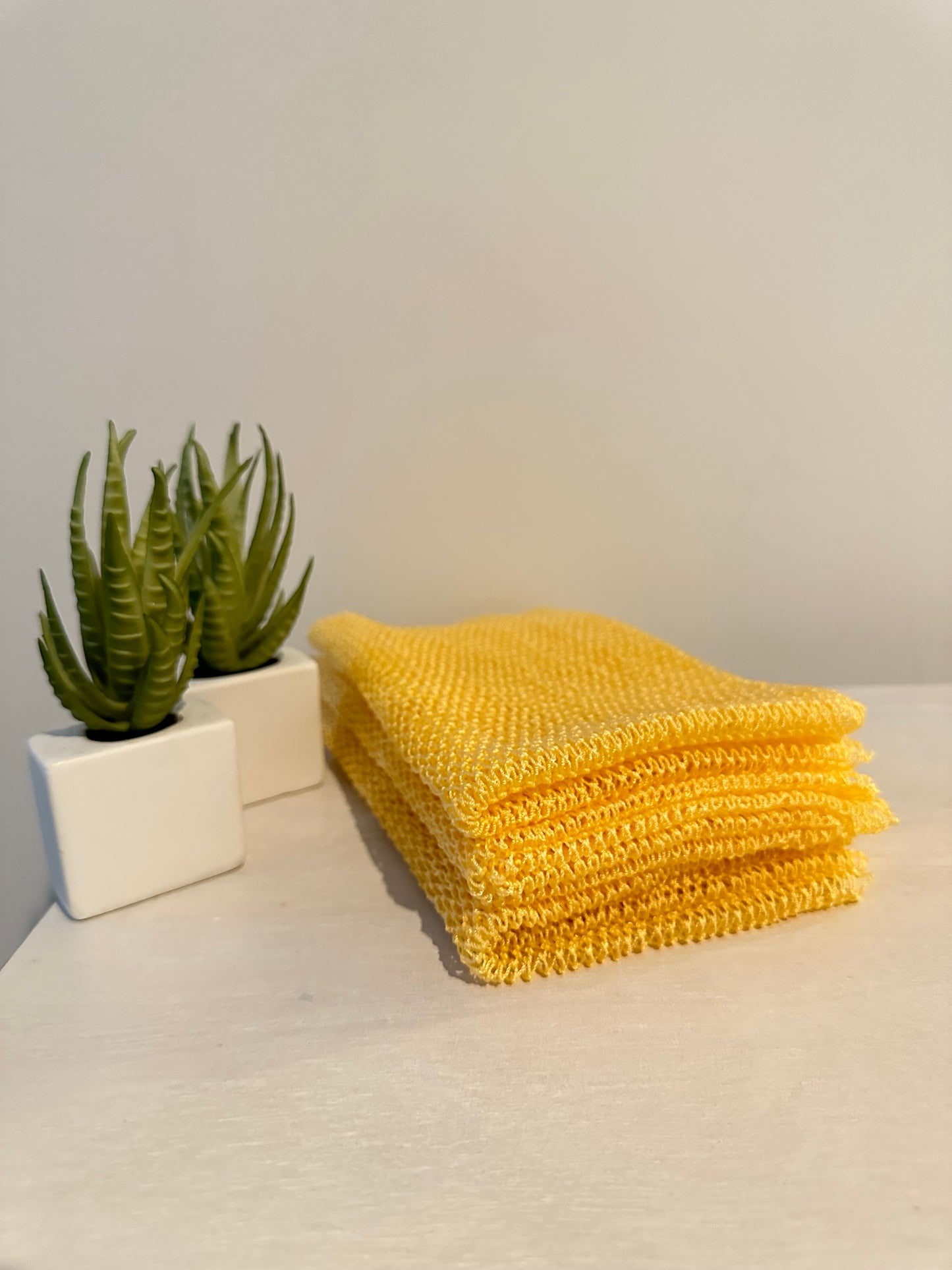 Exfoliating African Net Sponge
