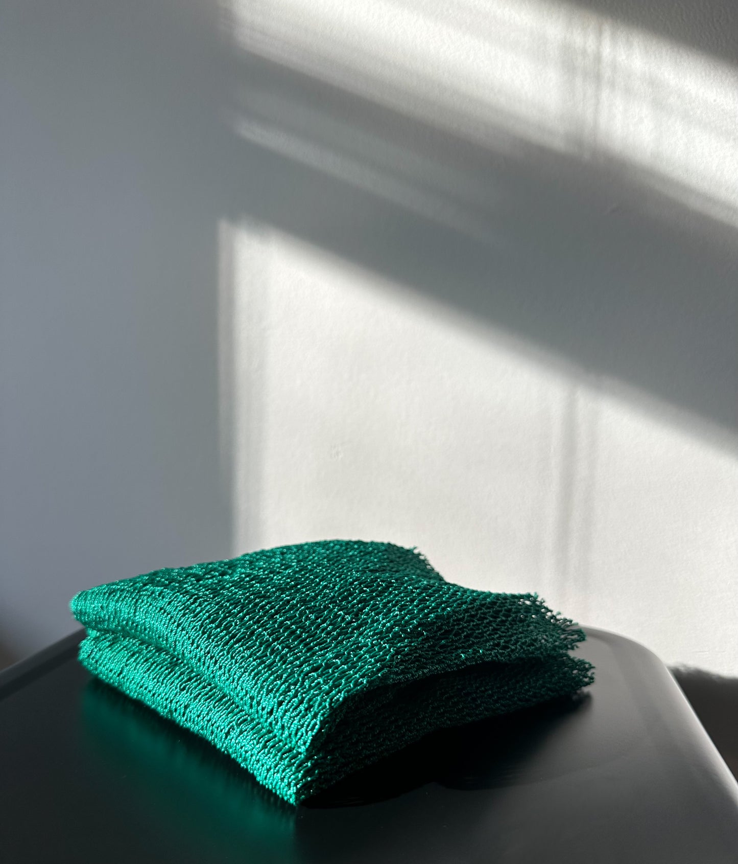 Exfoliating African Net Sponge