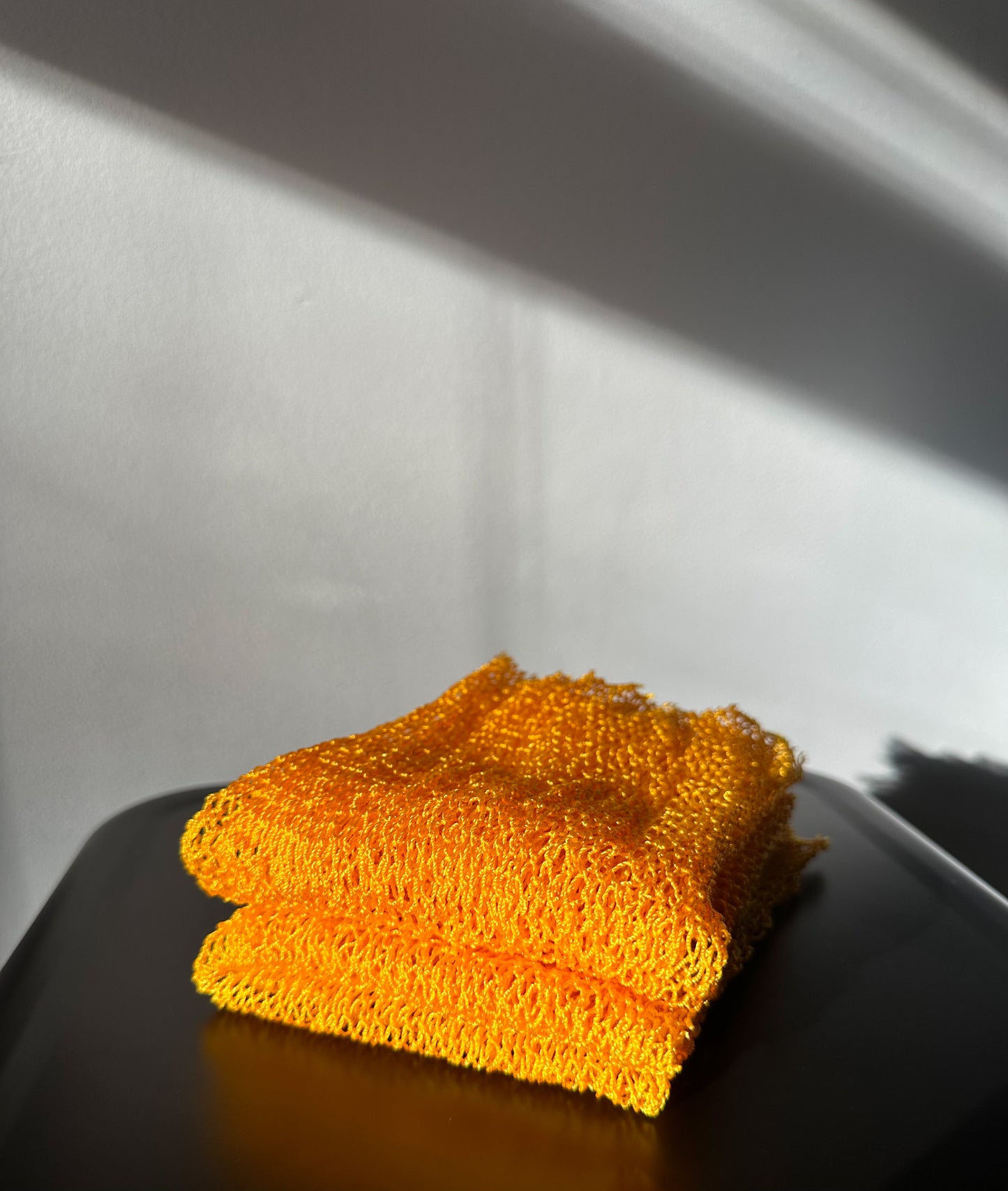 Exfoliating African Net Sponge